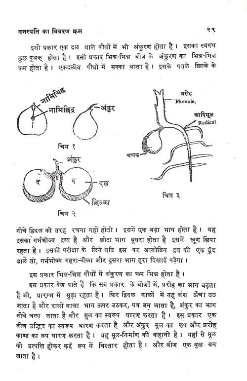 Kriyatmak Aushadhi Parichaya Vigyan